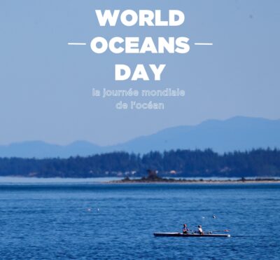 Embracing the Waves: Celebrating World Oceans Day