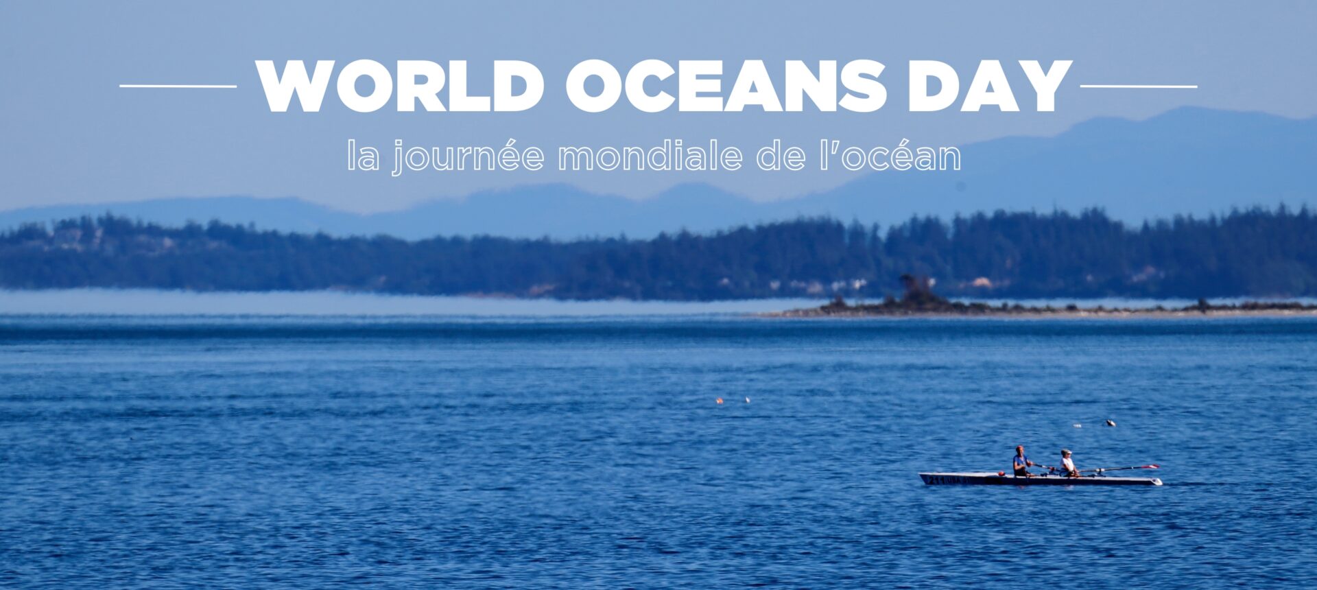 Embracing the Waves: Celebrating World Oceans Day