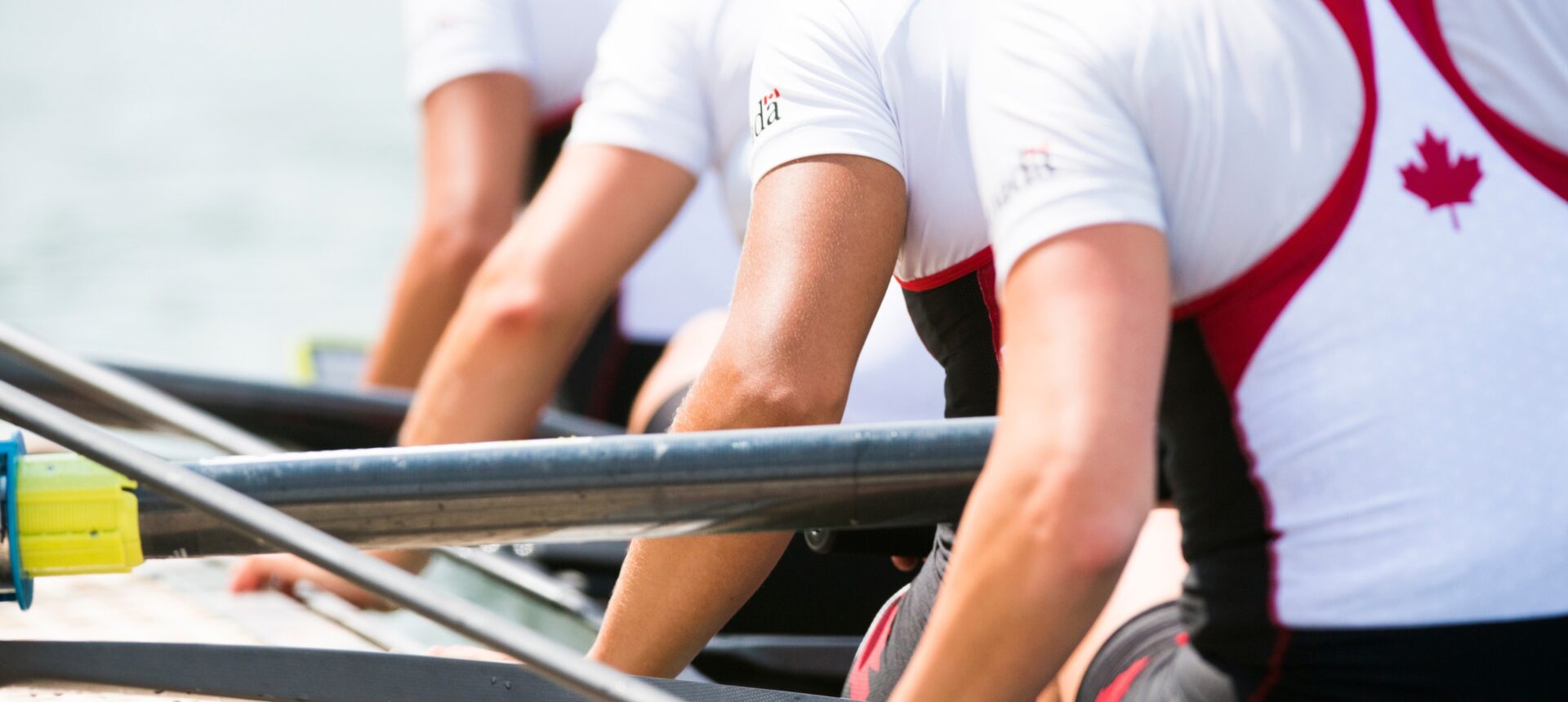 Introducing New Members of the Rowing Canada Aviron Board of Directors